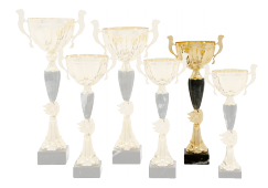 Cupă Standard - 4400 C